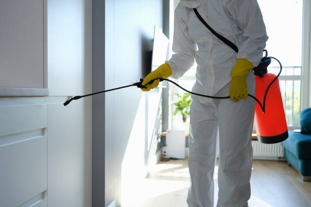 Best Office Mold Removal Services  in Elkton, VA