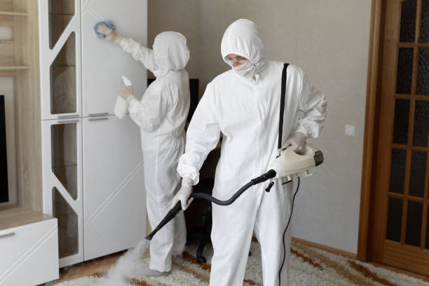 Best Residential Mold Removal  in Elkton, VA