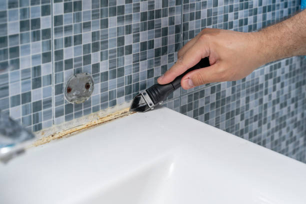 Trusted Elkton, VA Mold Removal Experts